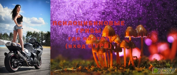 шишки Осташков