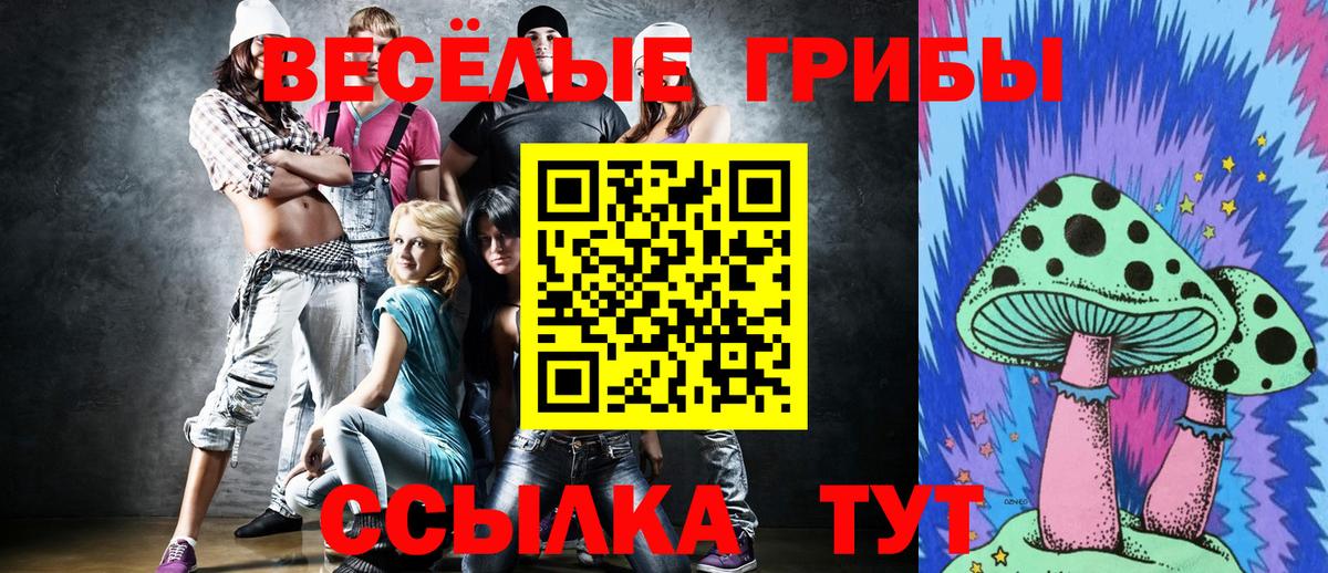 Галлюциногенные грибы мухоморы Заинск
